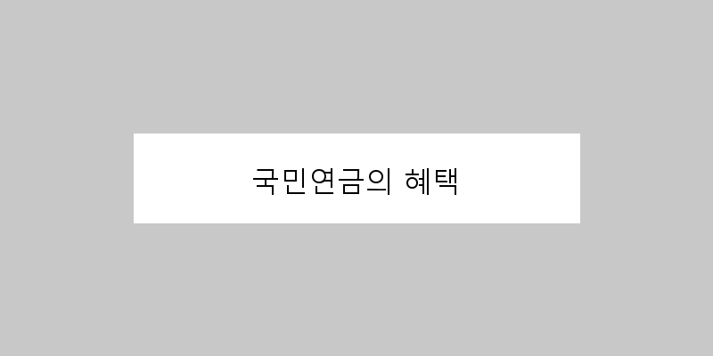 
  국민연금의 혜택
 이미지