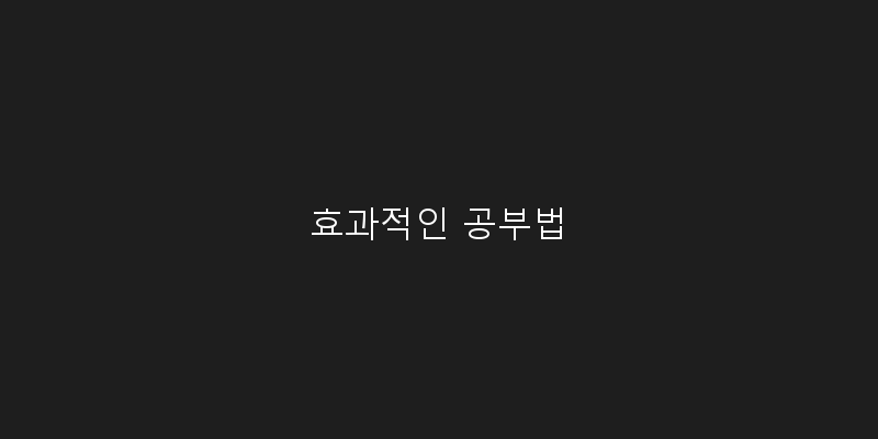 효과적인 공부법 이미지
