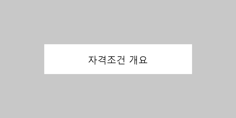 
  자격조건 개요
 이미지