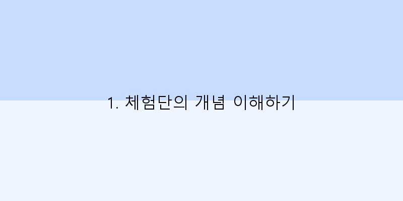 
  1. 체험단의 개념 이해하기
 이미지