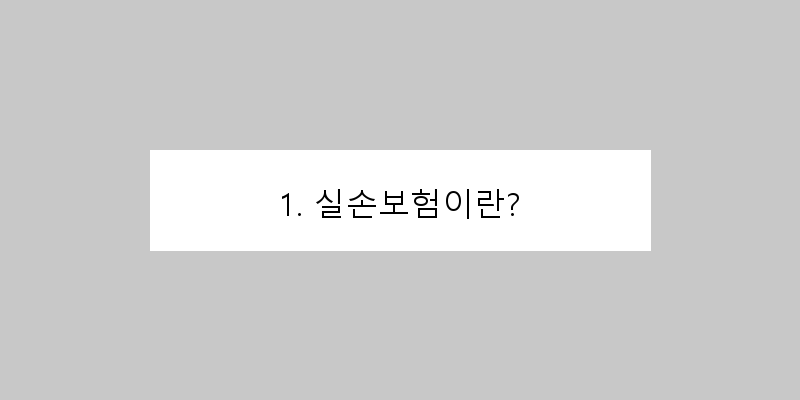 
  1. 실손보험이란?
 이미지