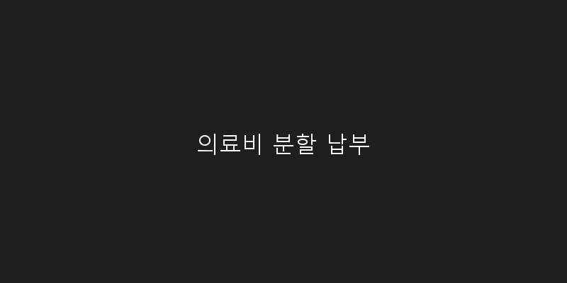 
  의료비 분할 납부
 이미지