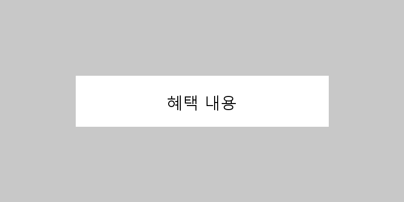 혜택 내용 이미지