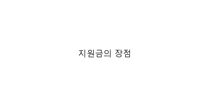 
  지원금의 장점
 이미지