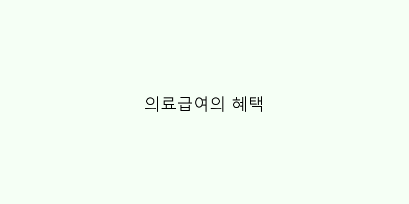 
  의료급여의 혜택
 이미지
