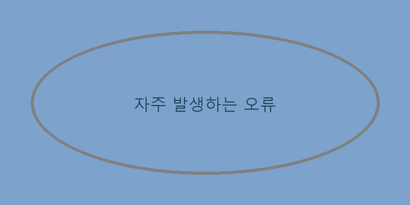 
  자주 발생하는 오류
 이미지