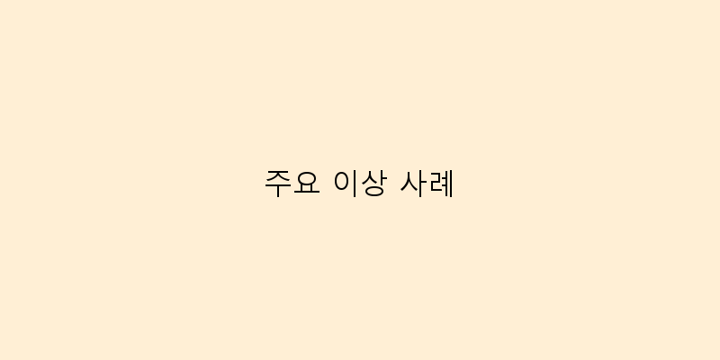 
  주요 이상 사례
 이미지