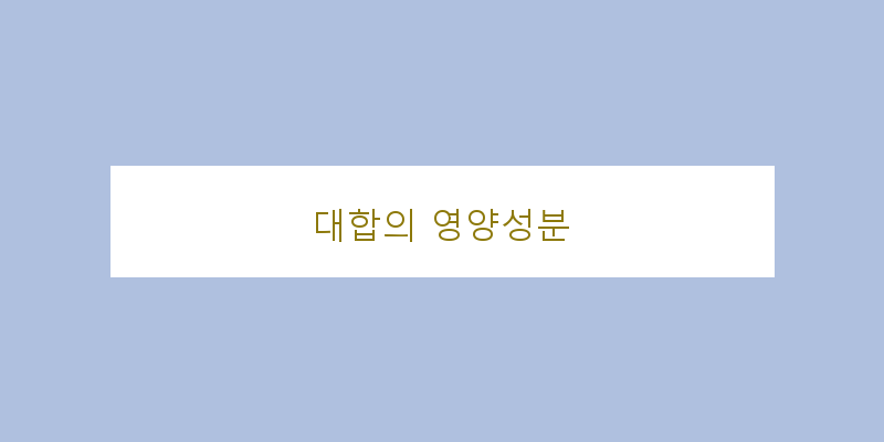
  대합의 영양성분
 이미지