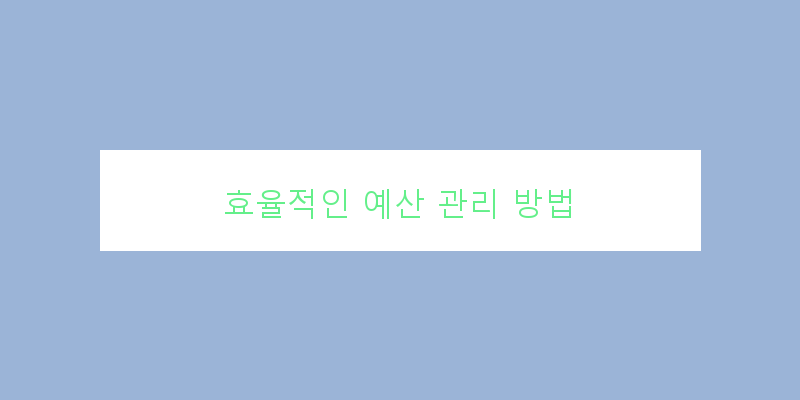 
  효율적인 예산 관리 방법
 이미지
