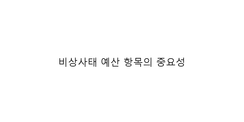 
  비상사태 예산 항목의 중요성
 이미지