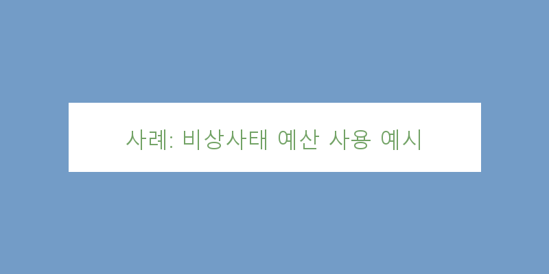 
  사례: 비상사태 예산 사용 예시
 이미지
