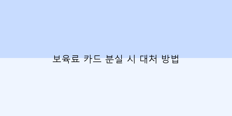
  보육료 카드 분실 시 대처 방법
 이미지
