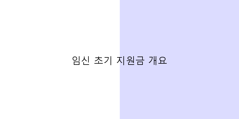 
  임신 초기 지원금 개요
 이미지