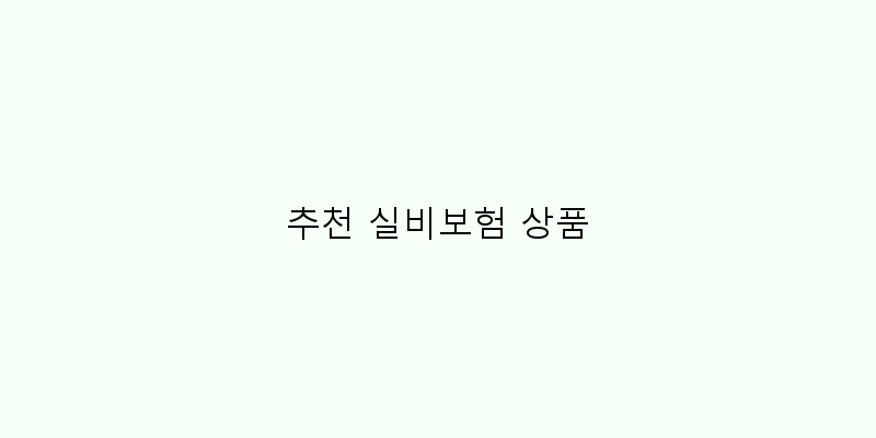 
  추천 실비보험 상품
 이미지