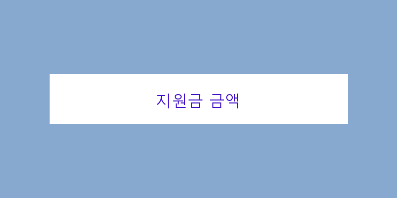 
  지원금 금액
 이미지