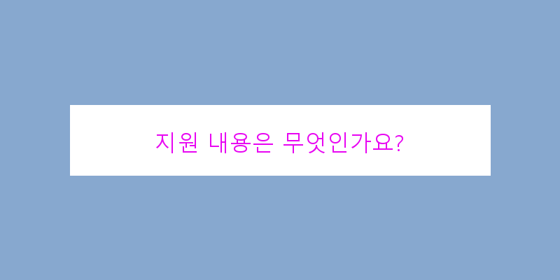 
  지원 내용은 무엇인가요?
 이미지