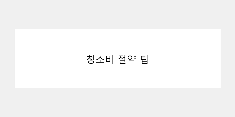 
  청소비 절약 팁
 이미지