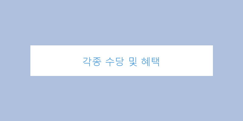 
  각종 수당 및 혜택
 이미지