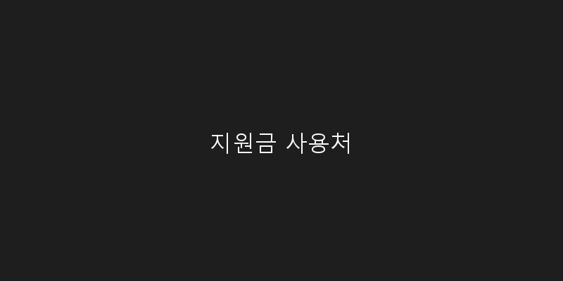 
  지원금 사용처
 이미지