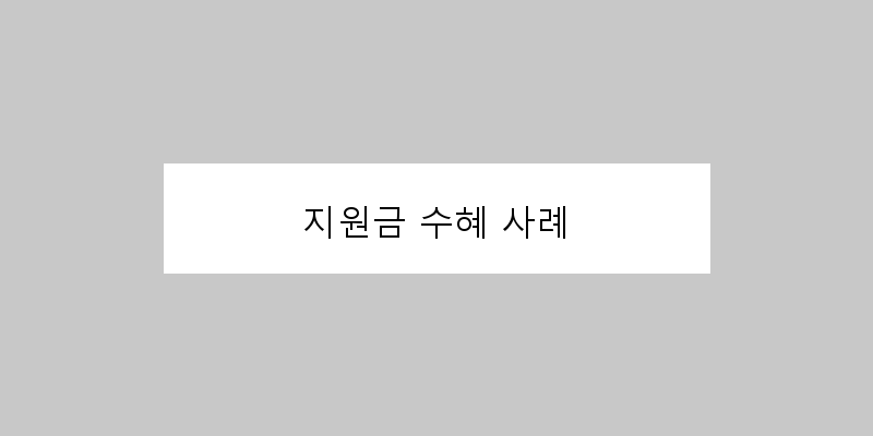 
  지원금 수혜 사례
 이미지