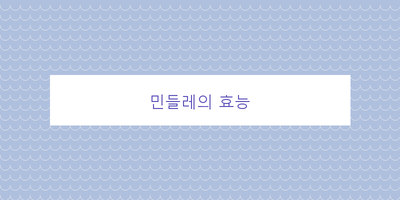 
  민들레의 효능
 이미지