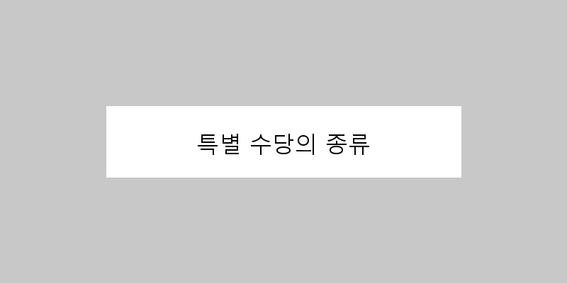 
  특별 수당의 종류
 이미지