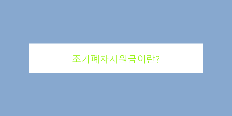 
  조기폐차지원금이란?
 이미지