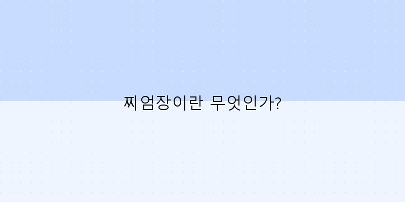 
  찌엄장이란 무엇인가?
 이미지