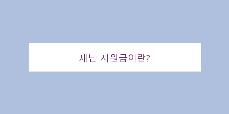
  재난 지원금이란?
 이미지